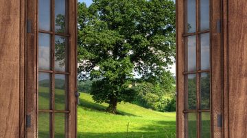 Supplies of Wood Windows